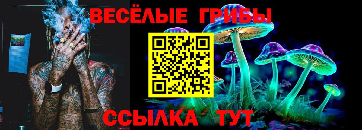 Псилоцибиновые грибы Psilocybe Лосино-Петровский