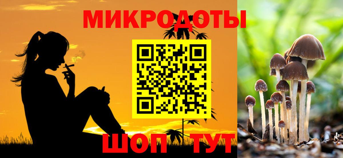 Галлюциногенные грибы Psilocybine cubensis  Вход с VPN  Лосино-Петровский 